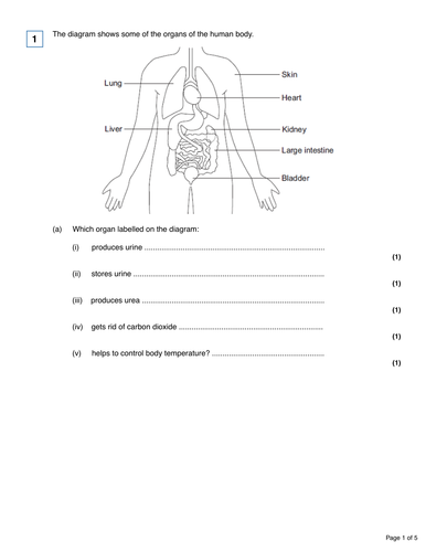 pdf, 282.01 KB