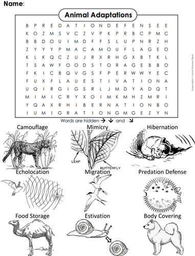 Animal Adaptations Word Search | Teaching Resources