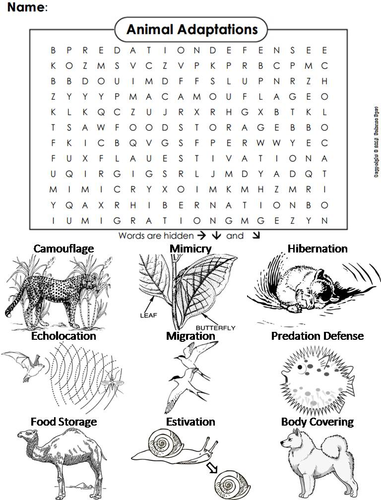 Animal Adaptations Word Search