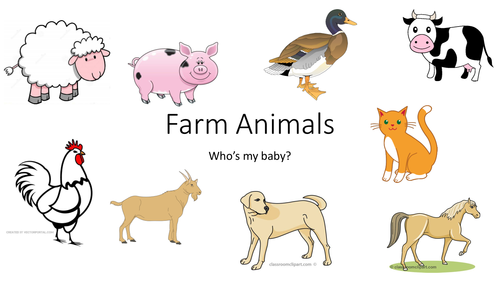 Teaching animals