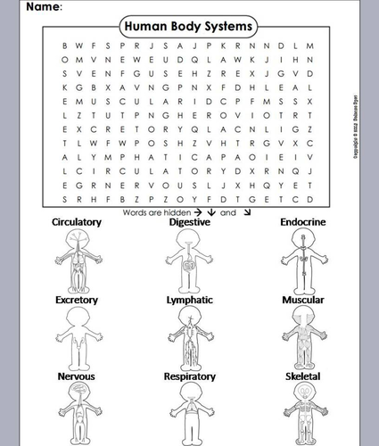 Human Body Systems Word Search