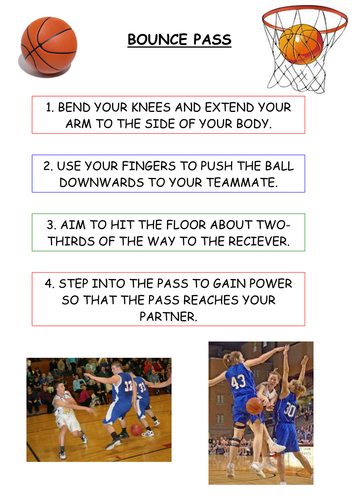assignment on basketball pdf
