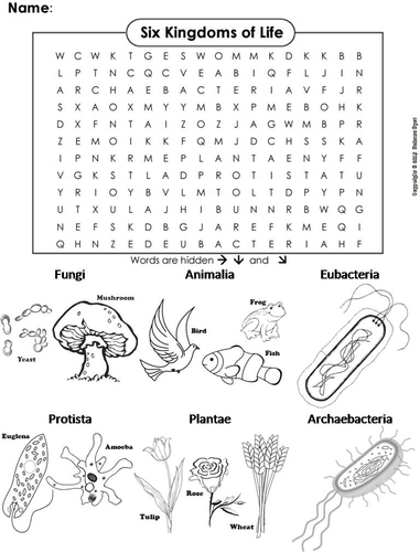 Six Kingdoms of Life Task Cards and Activities Bundle | Teaching Resources