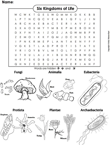 The Six Kingdoms of Life Word Search