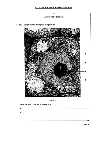 OCR A level Biology 2.1.1 Microscopy and cell structure | Teaching ...