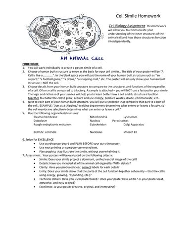 OCR A level Biology 2.1.1 Microscopy and cell structure | Teaching ...