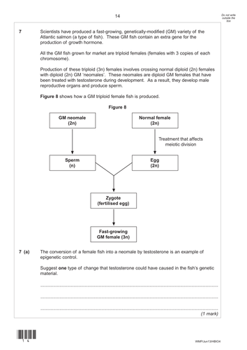 Transcriptional control of gene expression picture