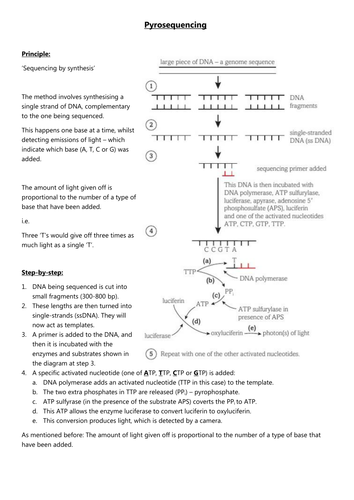 docx, 117.93 KB