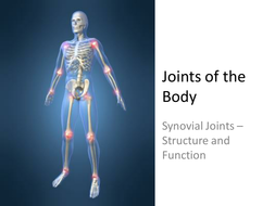 Joints of the Body and Synovial Joints | Teaching Resources