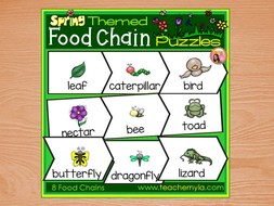 Food Chain Puzzles | Teaching Resources