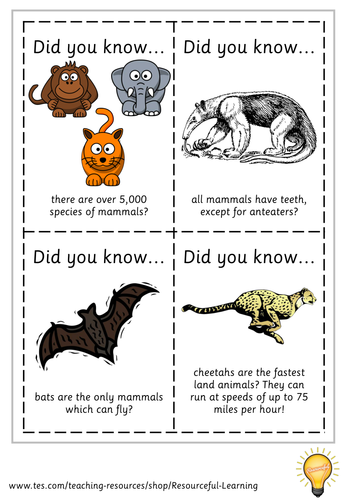 Fun Fact Cards: Mammals | Teaching Resources