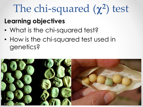 AQA A-level Biology (2016 spec). Section 7 Topic 17: Inherited changes 9 Chi-squared