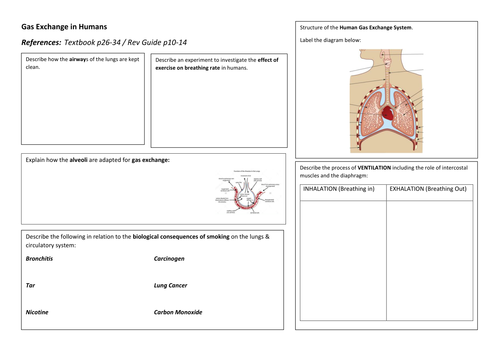 iGCSE Biology GAS EXCHANGE IN HUMANS Revision Poster