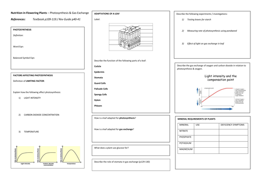 iGCSE Biology NUTRITION IN FLOWERING PLANTS Revision Poster