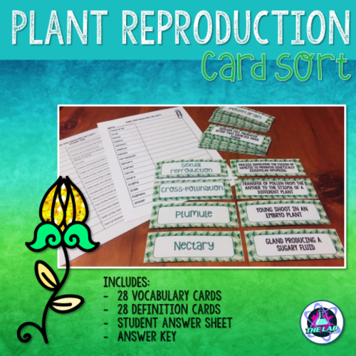 Plant Reproduction Vocabulary Card Sort