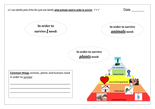 docx, 58.94 KB