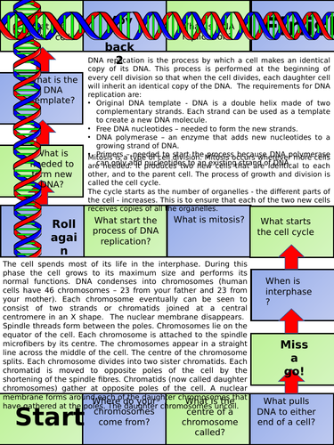 AQA GCSE Biology (Science) Mitosis & the Cell Cycle Lesson & Activities ...