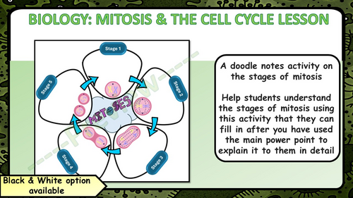 AQA GCSE Biology (Science) Mitosis & the Cell Cycle Lesson & Activities ...