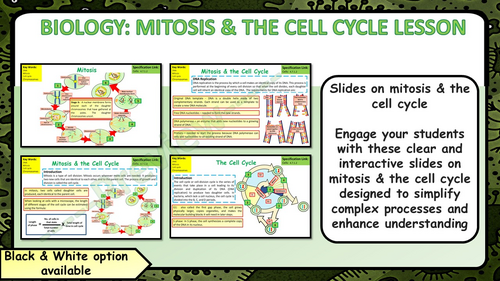 AQA GCSE Biology (Science) Mitosis & the Cell Cycle Lesson & Activities ...