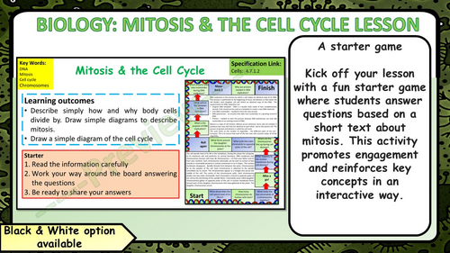 AQA GCSE Biology (Science) Mitosis & the Cell Cycle Lesson & Activities ...