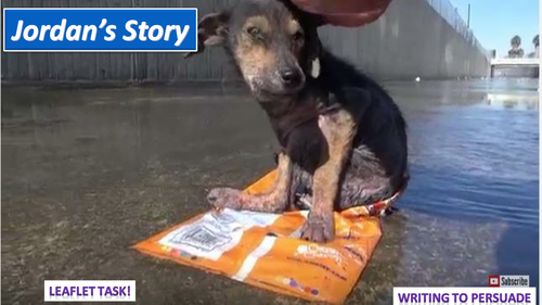 Jordan's Story - Literacy Emotional Dog Rescue Lesson