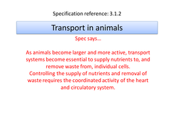 3.1.2 Transport In Animals Ocr A Level Biology (10- 11 Lessons 