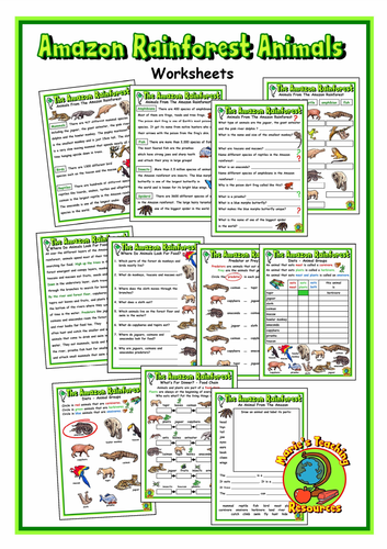 Amazon Rainforest Animals – Worksheets | Teaching Resources