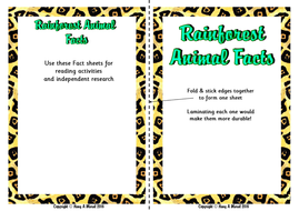 The Rainforest Animals Fact Sheets Teaching Resources