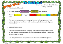 The Rainforest - Animal Classification /Different Groups | Teaching