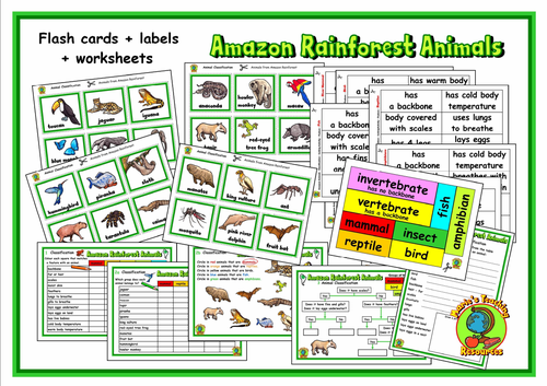 Amazon Rainforest Animals- Classification | Teaching Resources