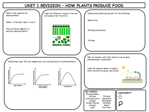 GCSE Biology Revision Mats Bundle | Teaching Resources