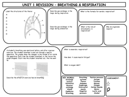 GCSE Breathing & Respiration Revision Mat | Teaching Resources