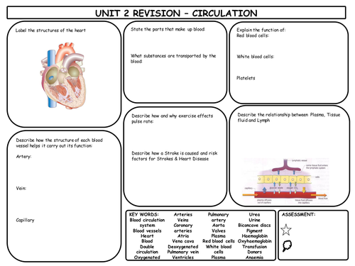 GCSE Circulation Revision Mat