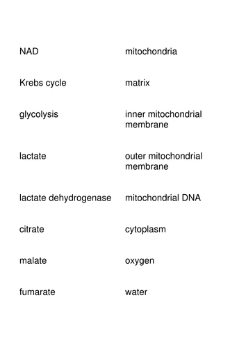 A2 Respiration Key Words