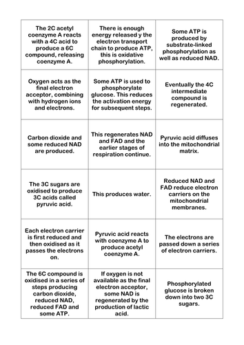 A2 Respiration Card Sort