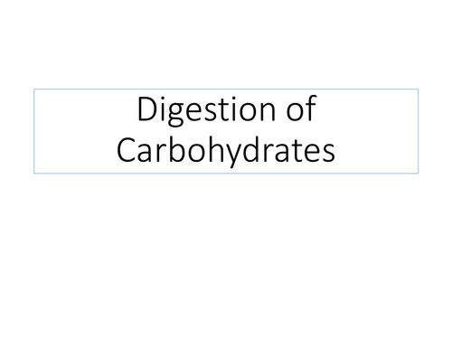 AQA AS - Digestion