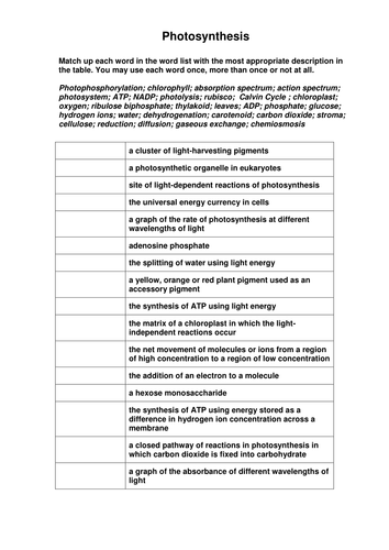 A2 Photosynthesis Key Terms