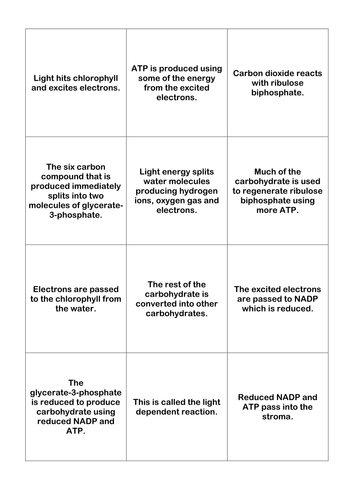 A2 Photosynthesis Sorting Activity