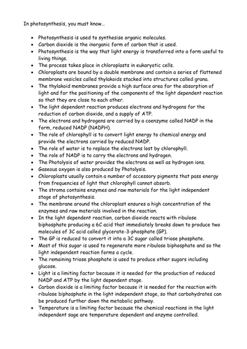 A2 Photosynthesis Summary Notes