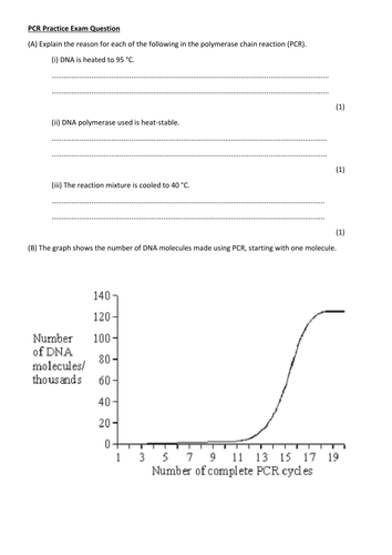 docx, 26.95 KB