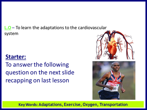 Cardiovascular system - Adaptations - BTEC national Sport & exercise ...
