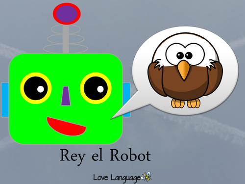 Pets in Spanish Bundle | Teaching Resources