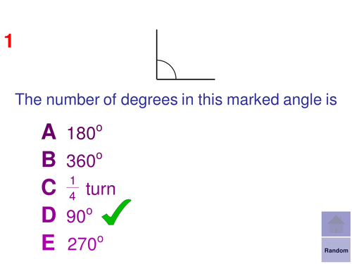 Multiple Choice Starters - Angles 1+2