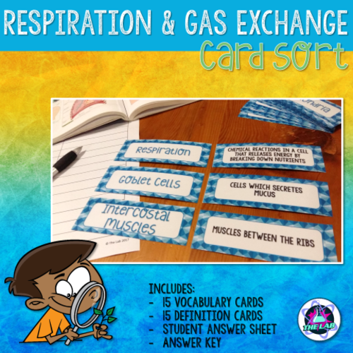 Respiration Vocabulary Card Sort FREEBIE