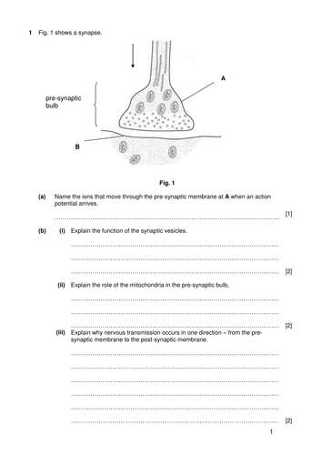 A2 Biology Questions & Answers | Teaching Resources