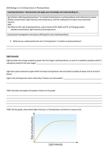 docx, 199.17 KB