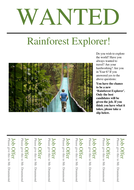 Rainforest worksheets ks1 picture