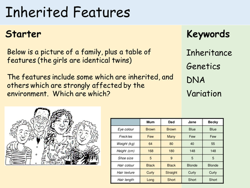 Inheritance: Scheme of Work and Lessons | Teaching Resources