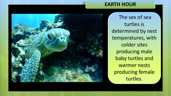 Earth Hour | Teaching Resources