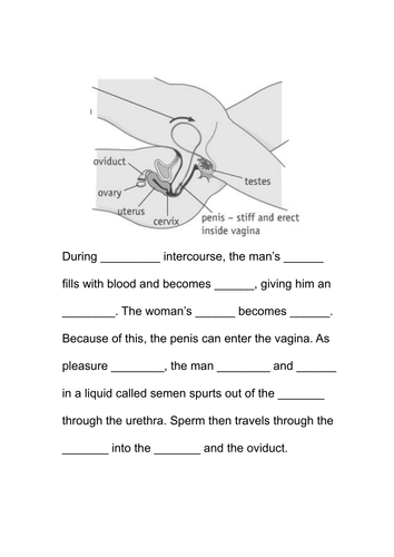 Differentiated Reproductive Organs And Sexual Intercourse Task Teaching Resources 9676